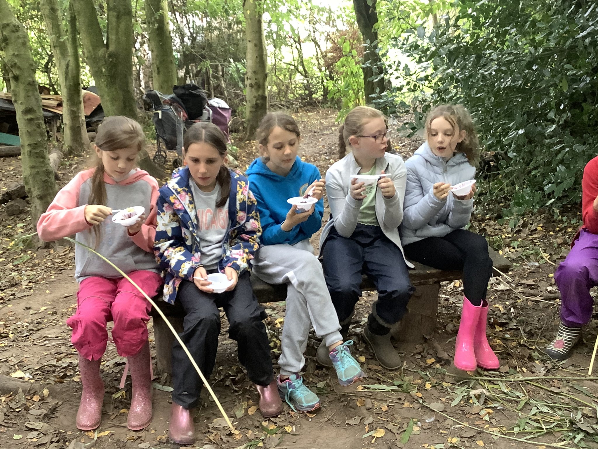 Image of Year 6 forest